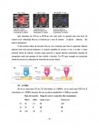Atestat Memoria externa - imaginea21