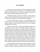 Atestat Tehnologia de fabricatie a branzei telemea - imaginea4