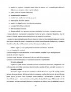 Atestat Intocmirea unui act de punere in valoare la produsele principale - imaginea21