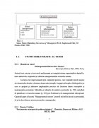Atestat Functiile manageriale ale organizatiei KENVELO ROMANIA - imaginea7