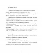 Atestat Îngrijirea pacienţilor cu gastrită cronică - imaginea9