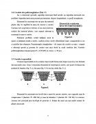 Atestat Transmisii prin curele - imaginea9