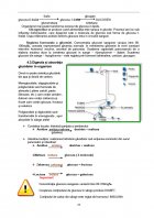 Atestat Rolul glucidelor in alimentatie - imaginea22