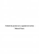 Atestat Tehnici de promovare a agentiei de turism Mistral Tours - imaginea2