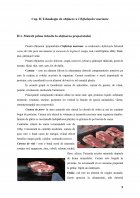 Atestat Tehnologia de obținere a preparatului Chifteluțe marinate - imaginea9