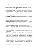 Atestat Les boissons alcoolisées en France - imaginea16