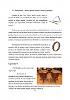 Atestat Rolul instrumentelor de percutie in orchestra simfonica moderna - imaginea16