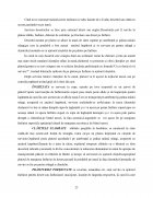 Atestat Tehnologia și tehnica servirii deserturilor - imaginea23