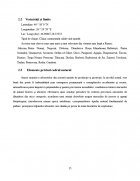 Atestat Intocmirea unui act de punere in valoare la produsele principale - imaginea16