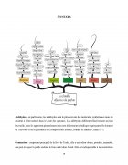 Atestat Les parfums français - imaginea19