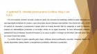 Atestat Studiul pietei pentru Firma de Exercitiu Golden Mug Cafe SRL - imaginea44