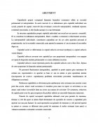 Atestat Analiza surselor proprii de finantare - imaginea3