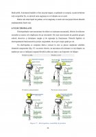 Atestat Instalații de ridicat și transportat - imaginea85