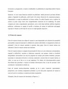 Atestat Politica de promovare Oriflame - imaginea8