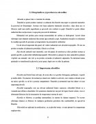Atestat Alcoolul Etilic - fermentatia alcoolica - imaginea7