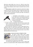 Atestat Coafuri de zi - imaginea7
