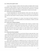 Atestat Machiaj de zi - imaginea10