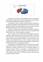 Atestat Materiale publicitare utilizate in agentia de turism - imaginea16