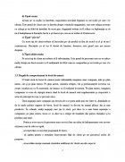 Atestat Tipuri de coafuri - imaginea7