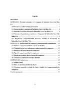 Atestat Analiza pietei de consum - imaginea2