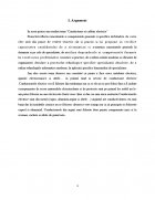 Atestat Conductoare si cabluri electrice - imaginea3