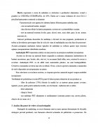 Atestat Contabilitatea ambalajelor - imaginea12