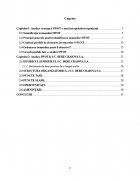 Atestat Analiza SWOT la SC Bere Craiova SA - imaginea2
