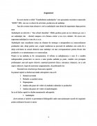 Atestat Contabilitatea ambalajelor - imaginea3