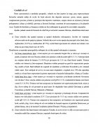 Atestat Intocmirea unui act de punere in valoare la produsele principale - imaginea11
