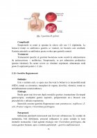 Atestat Îngrijirea pacientului cu gastrită acută - imaginea14