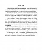 Atestat Asigurarea de raspundere civila auto - imaginea30