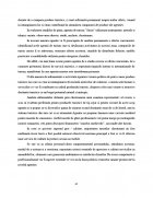 Atestat Agentia de turism Sirius - imaginea35