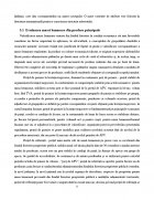 Atestat Intocmirea unui act de punere in valoare la produsele principale - imaginea22