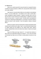 Atestat Structura unui sistem pneumatic - imaginea20