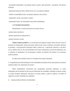 Atestat Căi de finanțare a unei afaceri - imaginea5