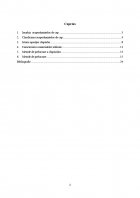 Atestat Chipiul atributul indispensabil al ansamblului vestimentar - imaginea2
