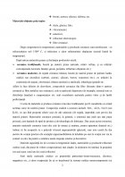 Atestat Materiale Ceramice. Porțelanul - imaginea4