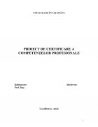 Atestat Sisteme privind tehnica servirii consumatorilor - imaginea1
