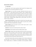 Atestat Îngrijirea pacienților cu lombosciatică - imaginea9