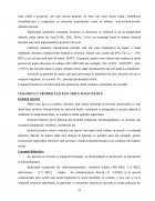 Atestat Materiale Ceramice. Porțelanul - imaginea26