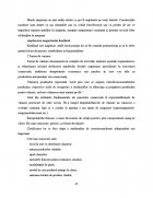 Atestat Kaufland - imaginea42
