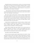 Atestat Promovarea și vânzarea  online a ofertei de  articole de încalţăminte  sportivă  în cadrul firmei SC PUMA SRL - imaginea15