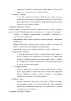 Atestat Structura organizatorică a agenției de turism - imaginea9