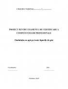 Atestat Ondulatia cu apa pe toate tipurile de par - imaginea1
