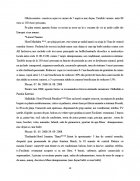 Atestat Agentia de turism Sirius - imaginea18