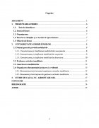 Atestat Inregistrarea in contabilitate a evenimentelor si tranzactiilor privind imobilizarile Studiu de caz la SC TACTICAL AIR SRL - imaginea2