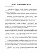 Atestat Materiale Ceramice. Porțelanul - imaginea30