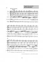 Atestat Don Giovanni - Wolfgang Amadeus Mozart - imaginea23
