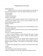 Atestat Proiectarea produsului fusta scurta in sase clini marimea 46 - imaginea19