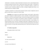 Atestat Caracterizarea impozitelor indirecte sursă de venit la bugetul de statului - imaginea20